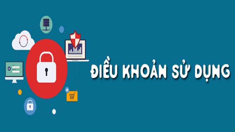 Những đổi mới về quy định điều khoản sử dụng của 009 